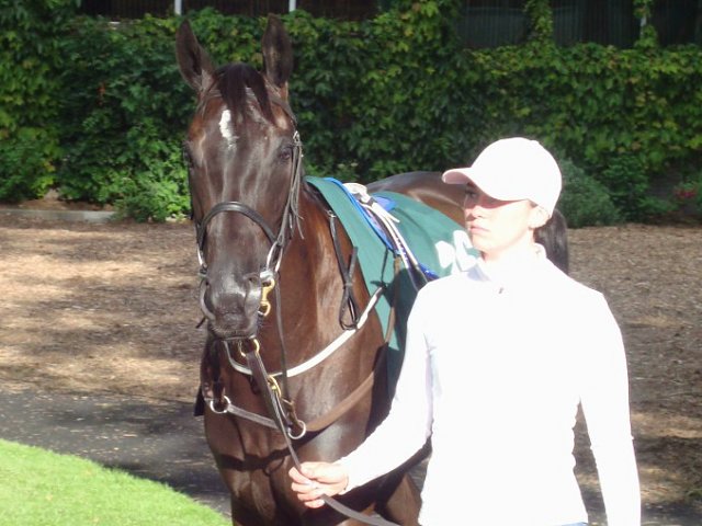 Yquem wins at Leopardstown on 19th June 2026